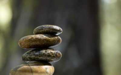 The Agility Paradox