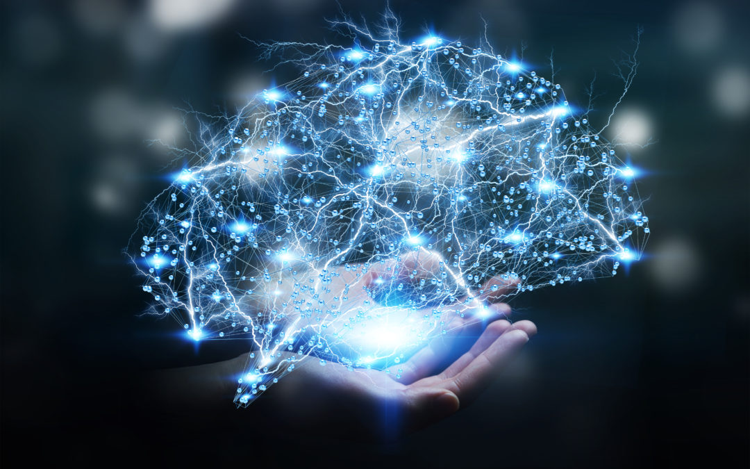 Checklist for Healthy Virtual Brains