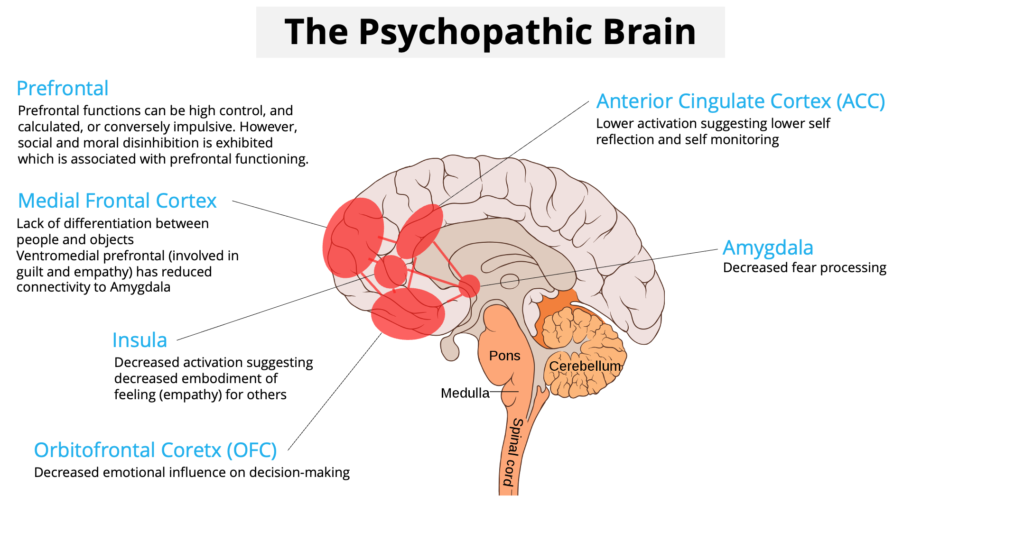 psychopathy brain