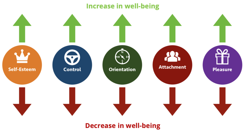 SCOAP wellbeing brain