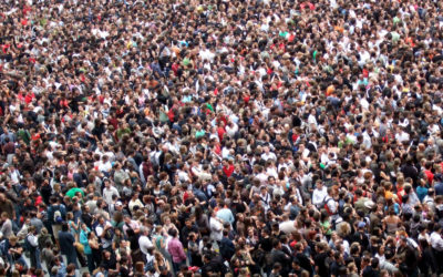Wisdom of the Crowd or Stupidity of the Masses