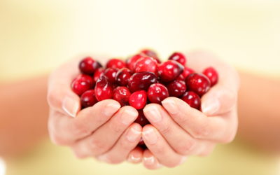 So, Can Cranberries Improve Memory?