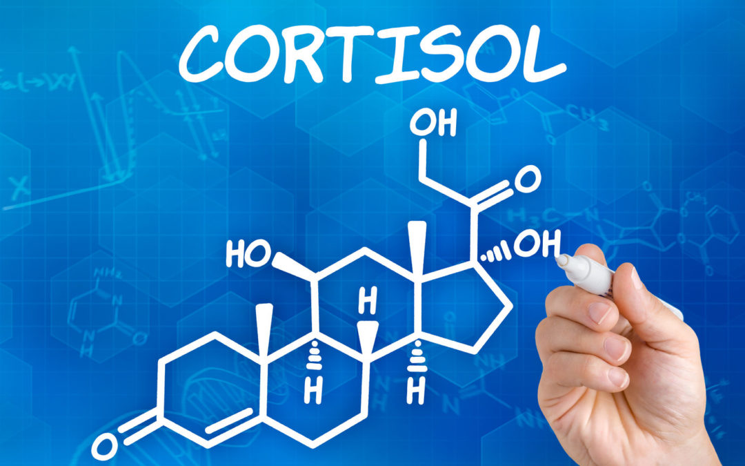 Cortisol – Stress or Activation