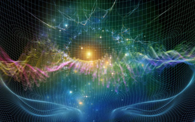 Our Brains Seem to Use Quantum Computations