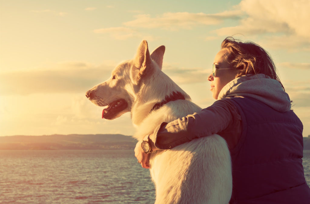 Your Dog Can Smell When You’re Stressed – And Reduce Stress