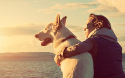 Your Dog Can Smell When You’re Stressed – And Reduce Stress